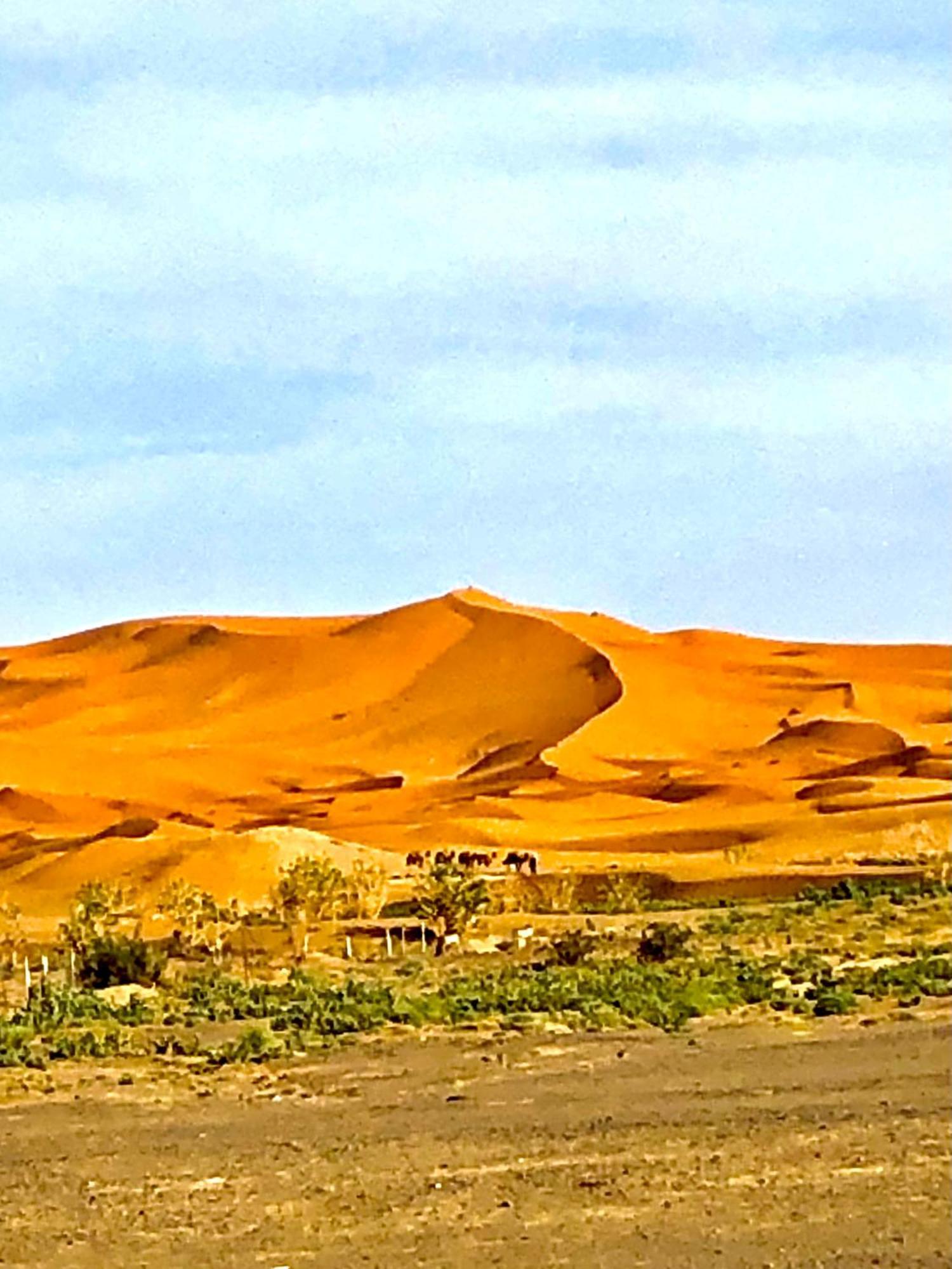 Bivouac La Fibule Des Dunes Merzouga Extérieur photo
